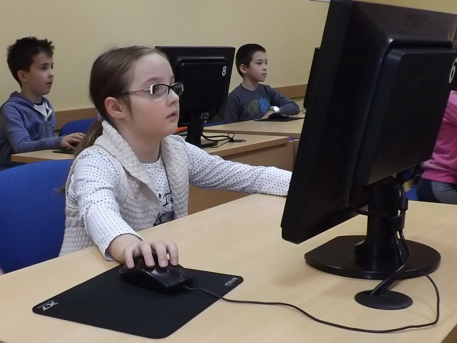 sat programiranja