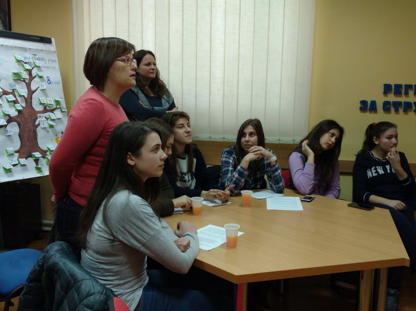 eTwinning Hemijsko drvo II radionica