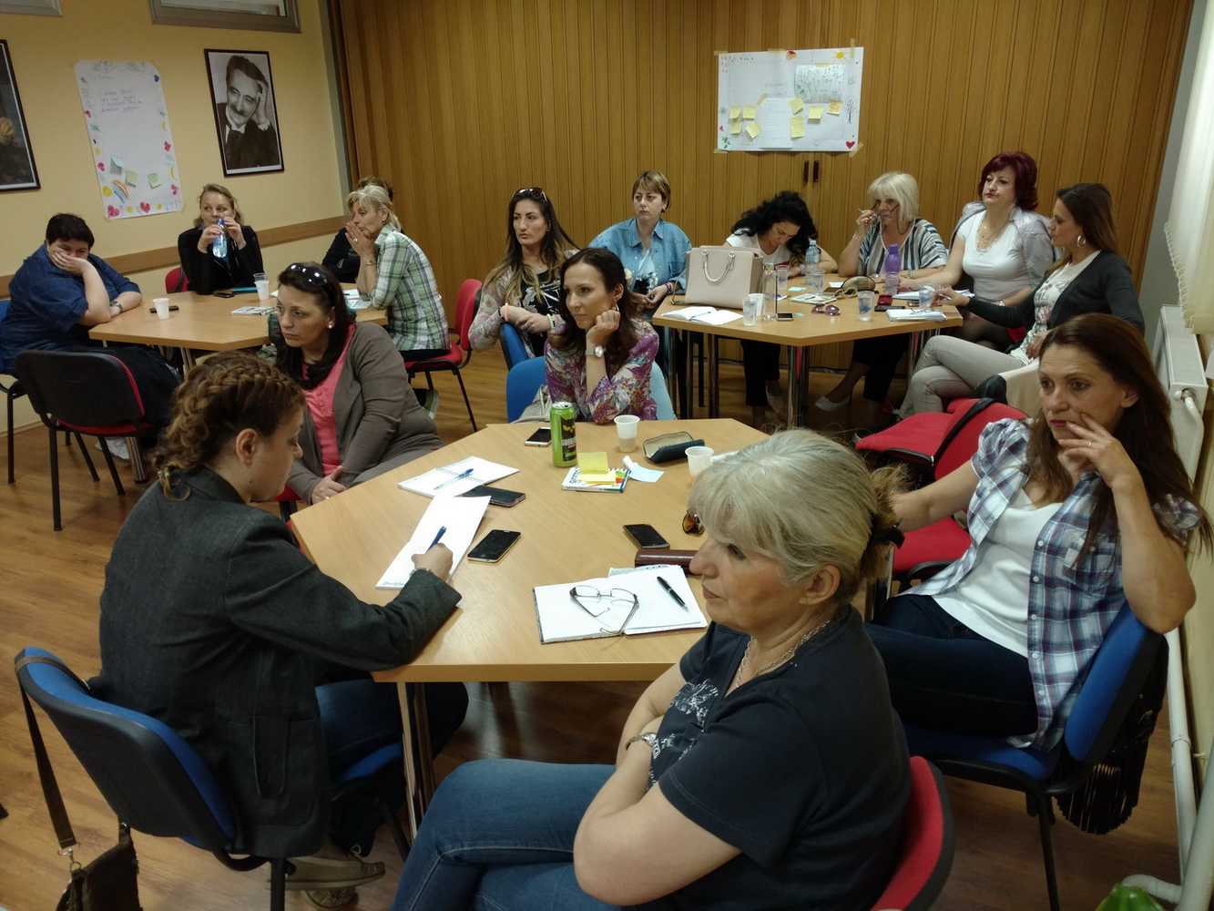 cip diversifikovani programi 2627